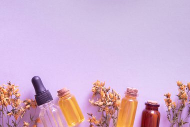 Kuru bitkiler ve yağ şişeleri ya da tentür üst görünüm. Bitkilerle doğal kozmetik ürünleri ve kopyalama alanı ile yağlar