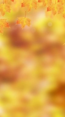 Animasyon metni Mutlu Şükran Günleri sarı-turuncu yapraklar ve bokeh arkaplan