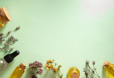 Kuru bitkiler ve yağ şişeleri ya da tentür üst görünüm. Bitki ve yağlı doğal kozmetik ürünleri. Boşluğu kopyala