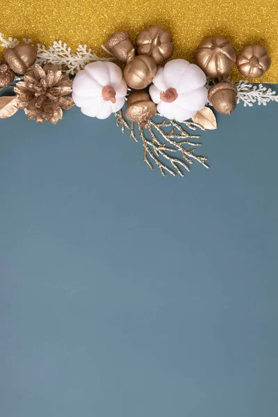 주의적 편평은 어금니 원추형 나뭇잎 호박들 형태의 있었다 — 스톡 사진