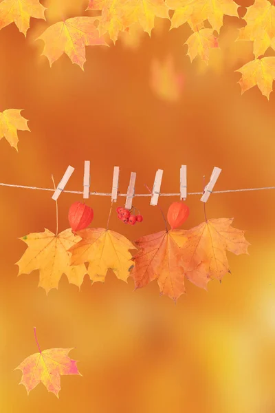 Herbst Orange Ahornblätter Auf Orangefarbenem Vertikalen Hintergrund Mit Kopierraum — Stockfoto