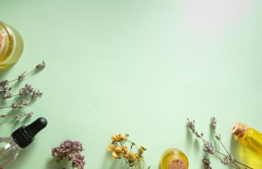 Kuru bitkiler ve yağ şişeleri ya da tentür üst görünüm. Bitki ve yağlı doğal kozmetik ürünleri. Boşluğu kopyala