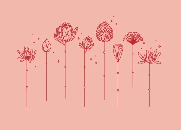 珊瑚背景艺术装饰风格的花卉长茎画 — 图库矢量图片
