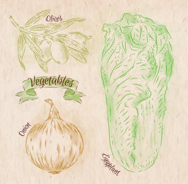 Sebze soğan, napa lahana, zeytin ülke