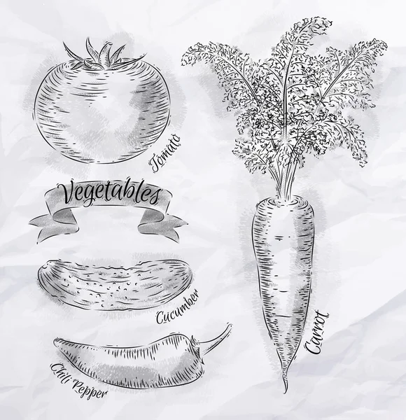 Légumes carotte, tomate, piments, concombre vintage — Image vectorielle