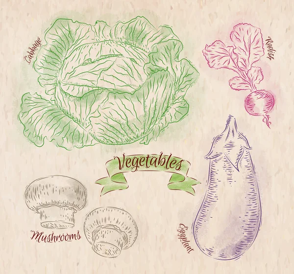 Légumes choux, aubergines, radis, champignons pays — Image vectorielle