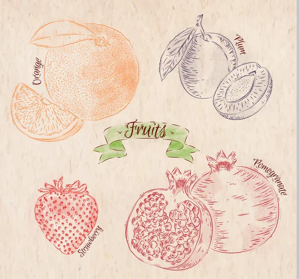 Frutta arancia, prugna, fragola, melograno paese — Vettoriale Stock