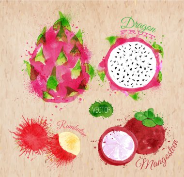 Egzotik meyve sulu boya dragon meyve, rambutan, mangosteen kraft