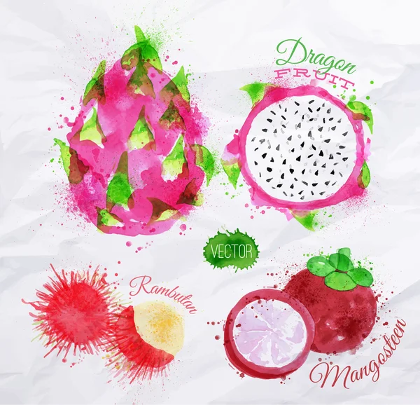 Exotiska frukter akvarell dragon frukt, rambutan, Mangostan — Stock vektor