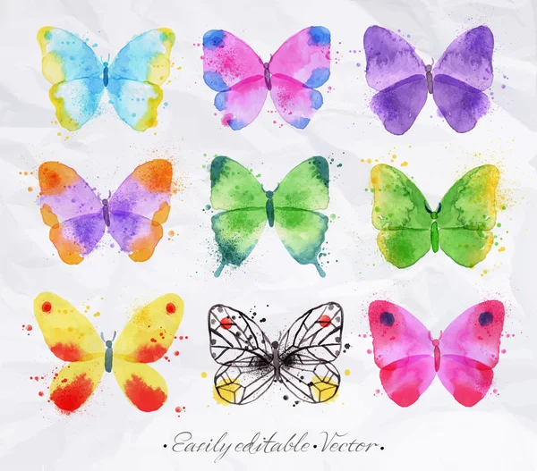 Set watercolor butterfly — Stock Vector