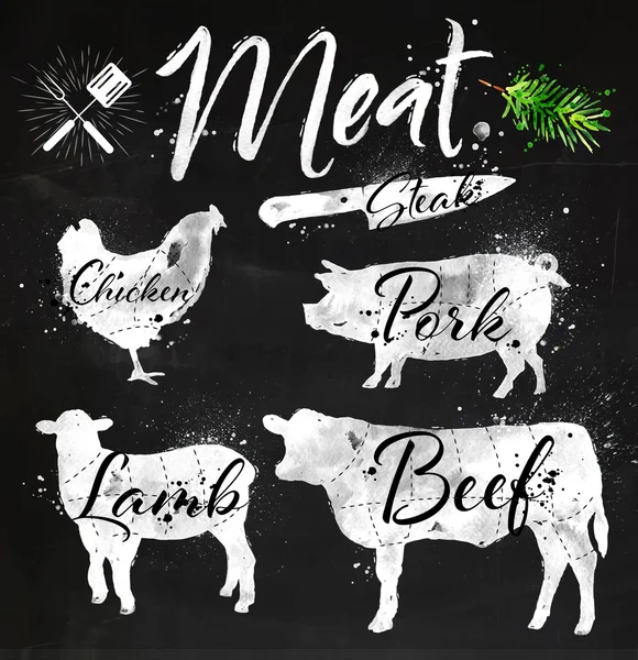 Set meat silhouettes chalk — Wektor stockowy