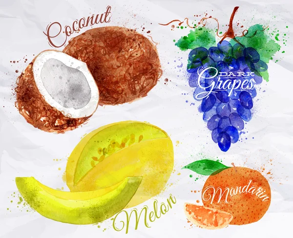 Fruit watercolor coconut, melon, mandarin, dark grapes kraft — Stock Vector