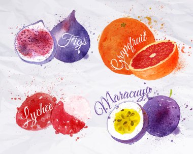 Meyve sulu boya incir, greyfurt, lychee, maracuya