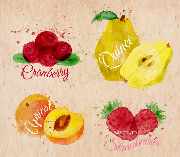 Frutas aguarela cranberry, marmelo, damasco, morangos selvagens kraft —  Vetores de Stock