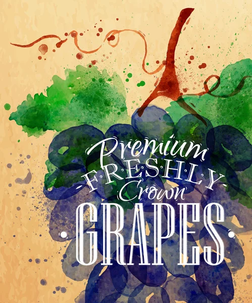 Poster grapes — Stock Vector