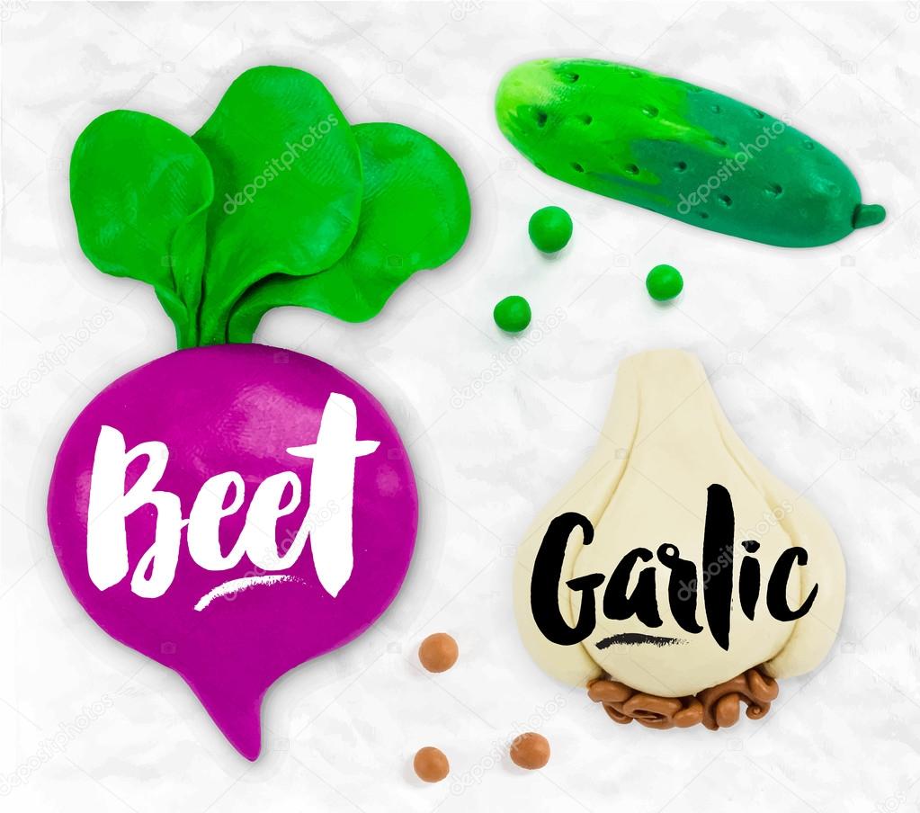 Plasticine vegetables beet