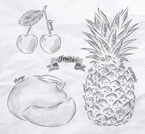 Plody třešně, mango, ananas vinobraní — Stockový vektor