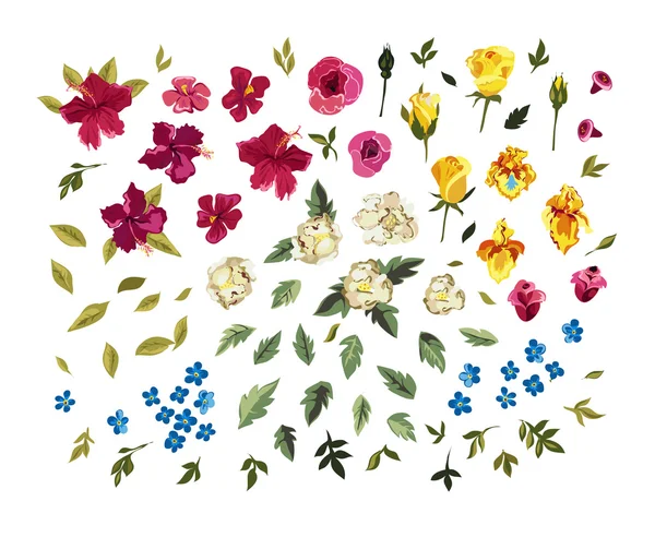 Kleurrijke bloemen collectie — Stockvector
