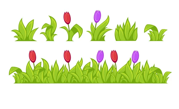 Groene gras en bloemen set — Stockvector