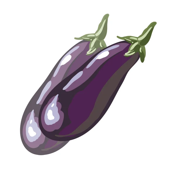 Aubergines fraîches ou légumes aubergines — Image vectorielle