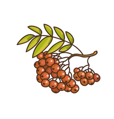 Kırmızı çizgi film rowan 