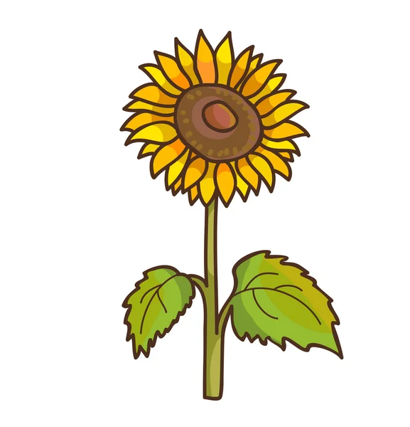 Красиві мультфільм соняшника — стоковий вектор