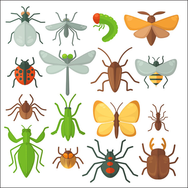 Set of various insects 