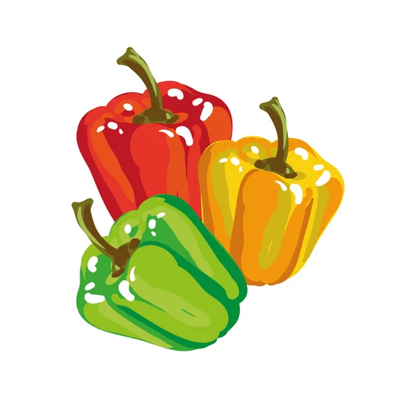 Zoete rijpe paprika — Stockvector