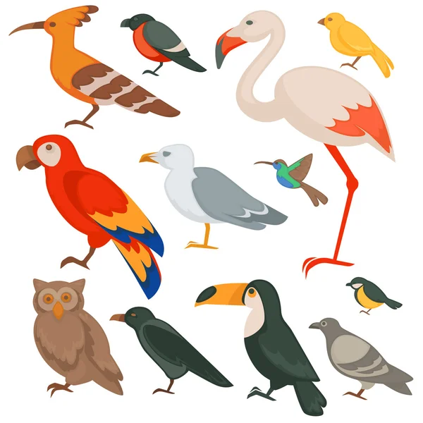 Ensemble d'oiseaux colorés — Image vectorielle