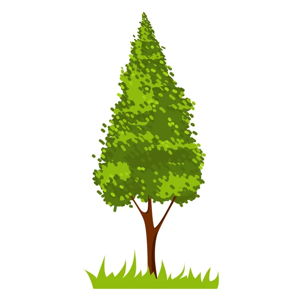 Grüner Baum auf weiß — Stockvektor