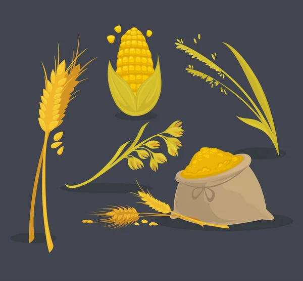 Définir les aliments de blé. Cuisine italienne . — Image vectorielle