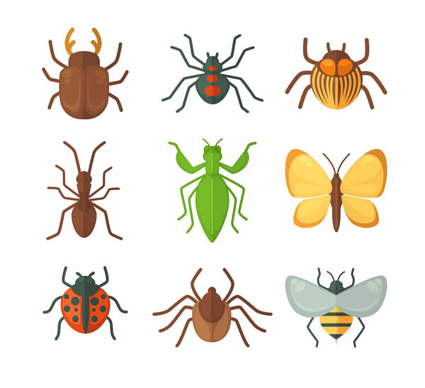 Set of various insects. 