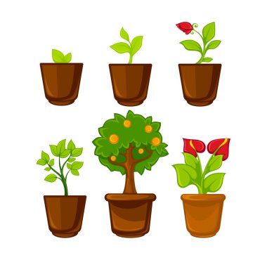 Tencere bitkiler çiçek ve yaprakları ile