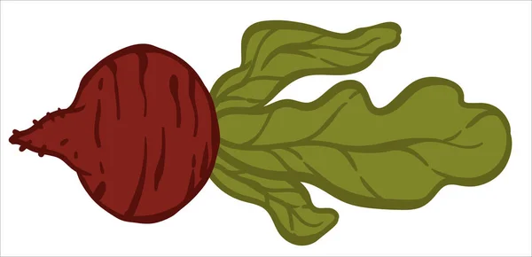 Gesunde Ernährung Und Lebensweise Isolierte Ikone Des Rote Bete Gemüses — Stockvektor