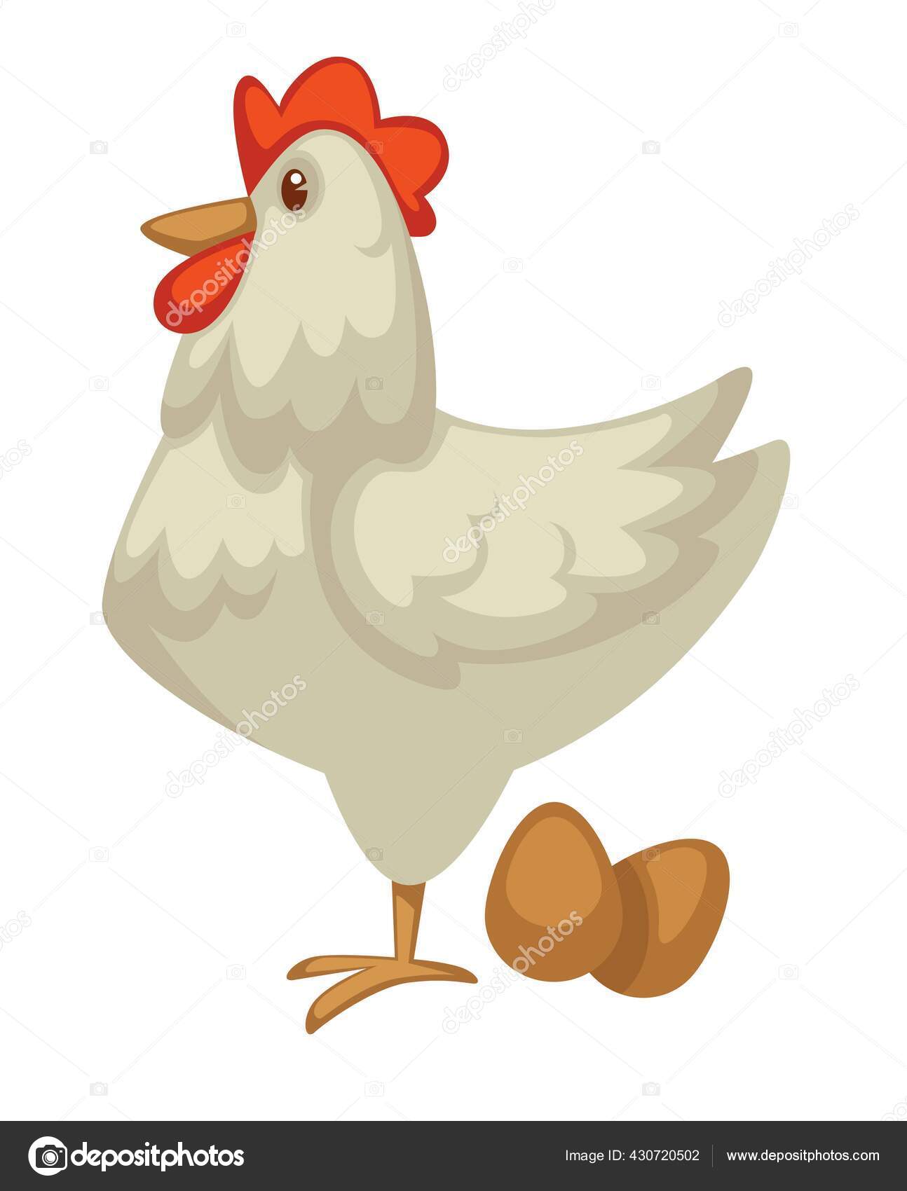 Farm Chicken Hen Eggs Dairy Product Poultry Meat Vector Organic Stock  Vector Image by ©Sonulkaster #430720502
