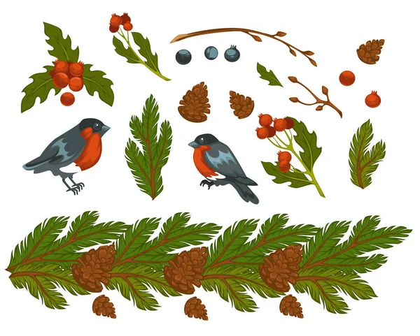 Pine Tree Branches Evergreen Needles Cones Bullfinches Birds Mistletoe Christmas — Stock Vector