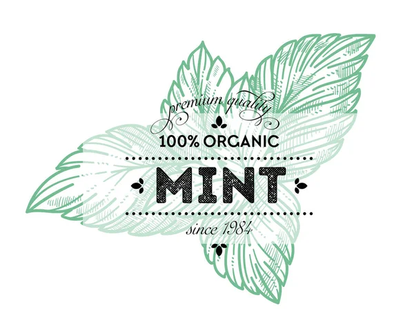 Organic Product 100 Percent Quality Mint Leaves Retro Label Inscription — Stock Vector