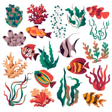 Akvaryum ve deniz ve okyanusun dibindeki vahşi yaşam. İzole tropikal ve egzotik balıklar, mercan resifleri ve su altında yetişen yosun bitkileri. Deniz ve deniz ekosistemi. Düz biçimli vektör