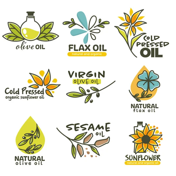 Różnorodność Naturalnych Organicznych Olejów Stosowanych Przygotowywania Żywności Poprawy Stanu Zdrowia — Wektor stockowy