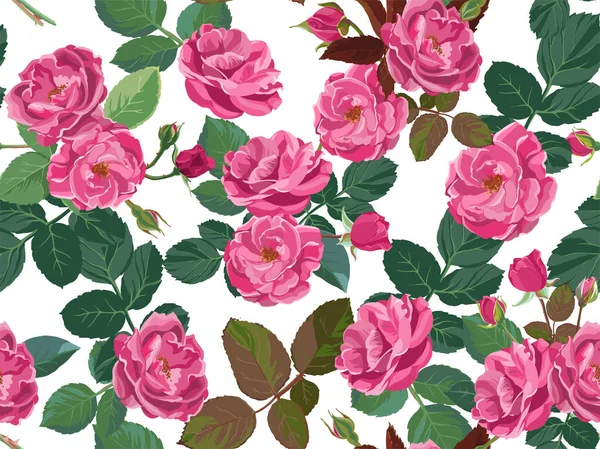 Spring flowers peonies or pink roses floral pattern — Stock Vector