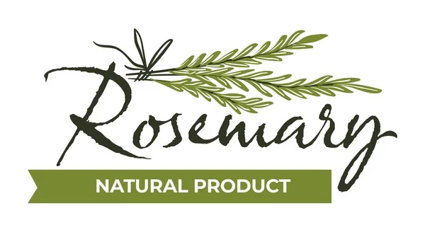 Rosemary naturalny produkt, zioła i przyprawy wektor — Wektor stockowy