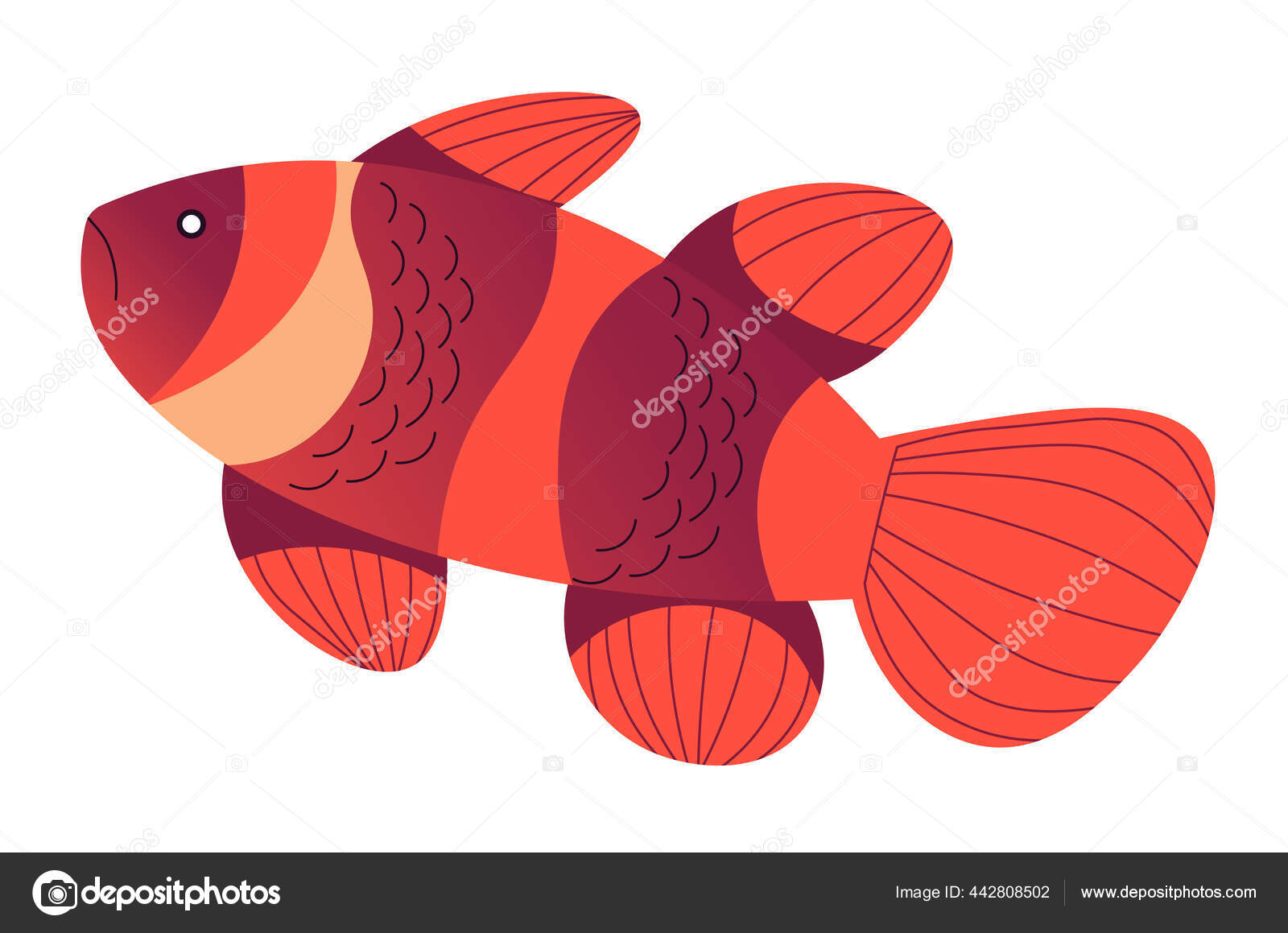 Poisson Rouge Isolé Sur Fond Transparent Illustration Stock - Illustration  du faune, animal: 272623765