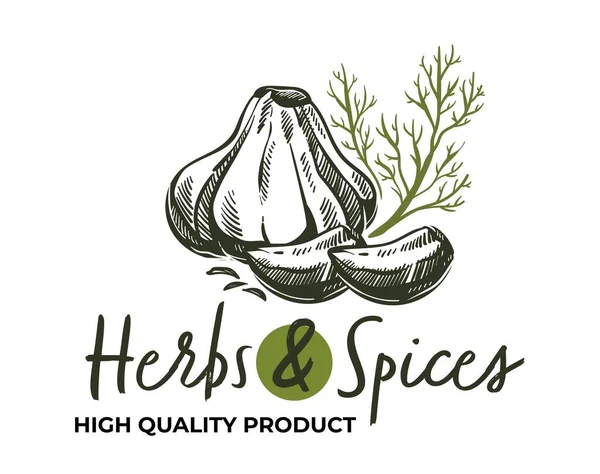 Kruiden en specerijen Hoogwaardige producten shop logo — Stockvector