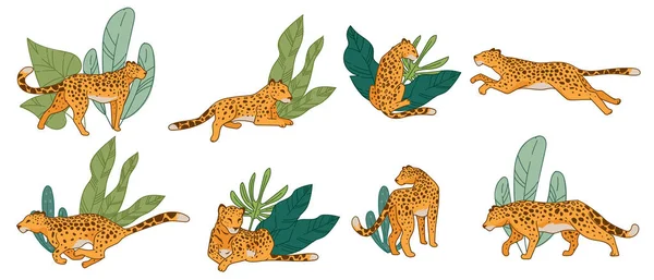 Leopardo o guepardo corriendo y cazando animales — Vector de stock