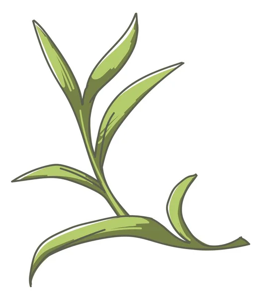 잎이 달린 식물, 풀, 이색적 인 실내 식물 잎 — 스톡 벡터