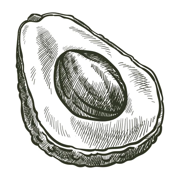 Груша авокадо, закуски для диеты и питания — стоковый вектор