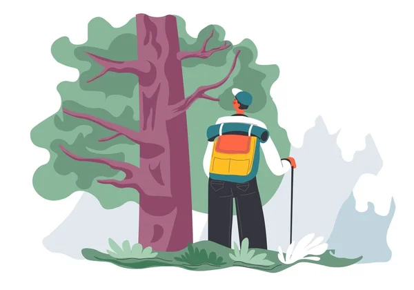 Resa och vandra i skogen med ryggsäck — Stock vektor