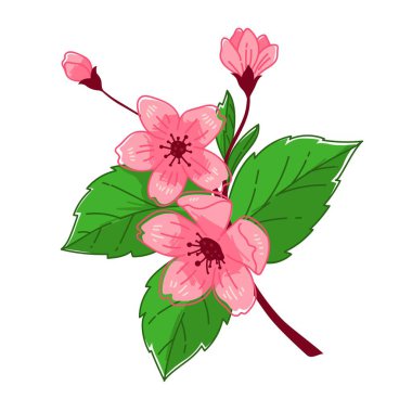 Sakura ağacı çiçek açıyor dalında.