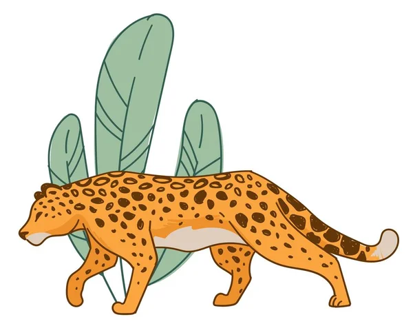 Lovit geparda, kočičí zvíře schovávající se za listí — Stockový vektor