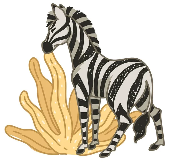 Zebra comendo folhas secas na África ou savana —  Vetores de Stock